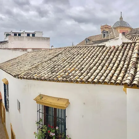 Acogedor 6pax 3bdr 2bth - Cozyhomesevilla6 Apartment