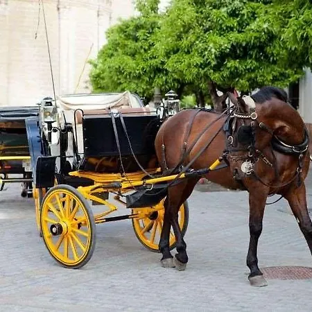 Hotel Doña María 4*