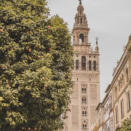 Jardin De Santa Paula * Sevilla