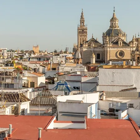 Avanti Mirador De Setas, Disfrutar Seville