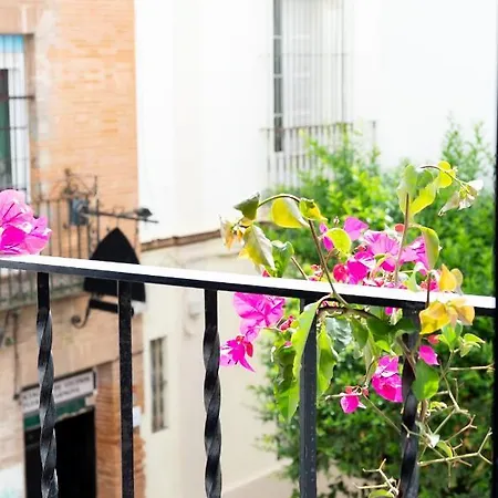 Apartment Tourist House Santa Cruz Seville