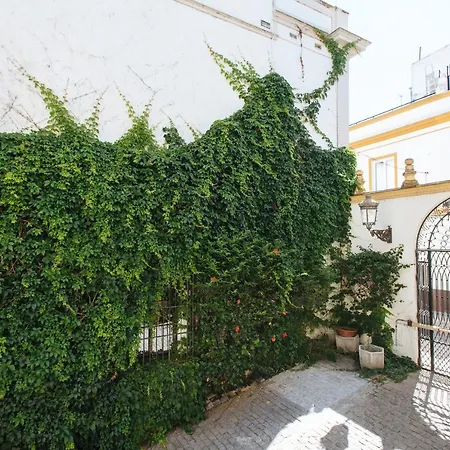 Apartment Vidrio *