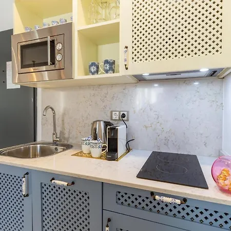 Apartment Lovely In With Kitchen