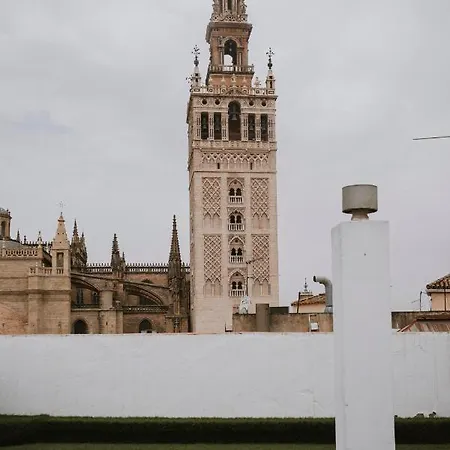 Complete Studio With Terrace - 1bth- La Giralda * Seville