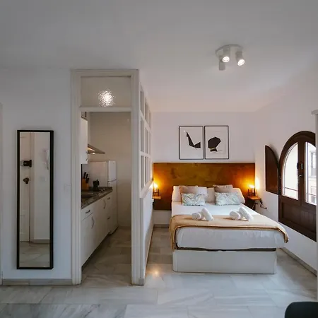Complete Studio With Terrace - 1bth- La Giralda Seville