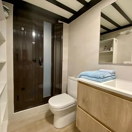 Cosy Studio In Alameda District Seville
