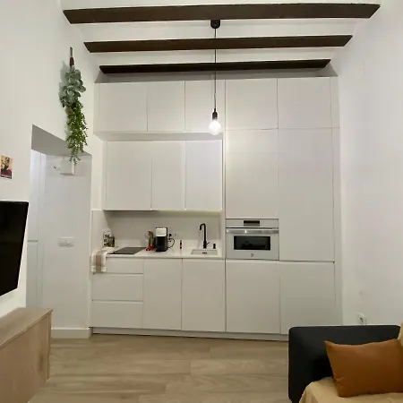 Cosy Studio In Alameda District Seville