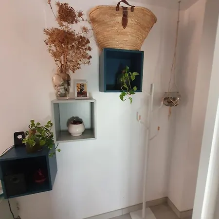 Beautiful With Terrace San Basilio Apartment *