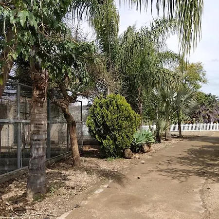 Alegría Apartamento