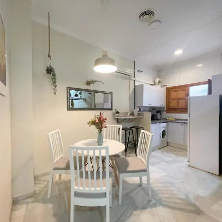 Apartamento Practical Studio- 1bth- Setas Sevilla