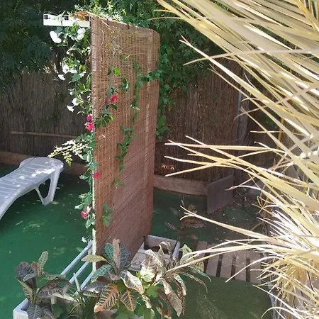El Naranjo