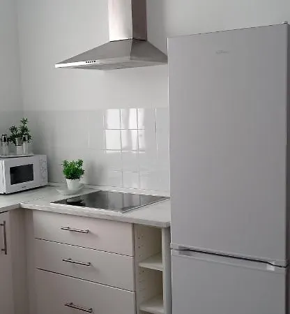 Apartamento Casco Historico Con Atico. Apartment