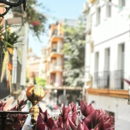 Typical Sevillan 2 Bedroom Unit