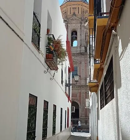 Apartamento Casco Historico Con Atico. Apartment *