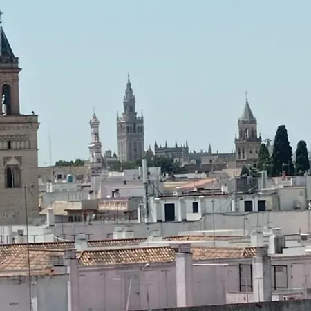 Apartamento Casco Historico Con Atico.