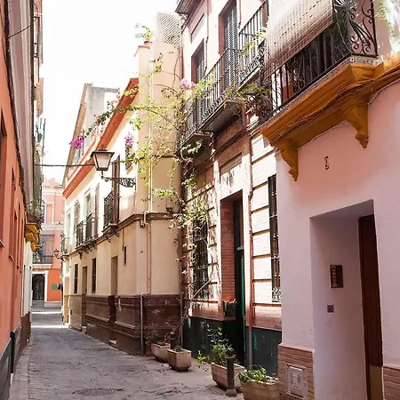 Apartamento Charming With Pool And Garage *