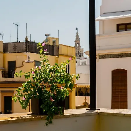 Anfitrion Sevilla