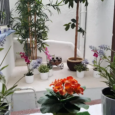Guest house Giraldilla *