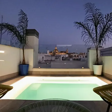 Luxury Penthouse With Private Pool Setas Monument Apartment