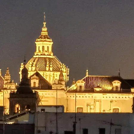 Luxury Penthouse With Private Pool Setas Monument * Seville