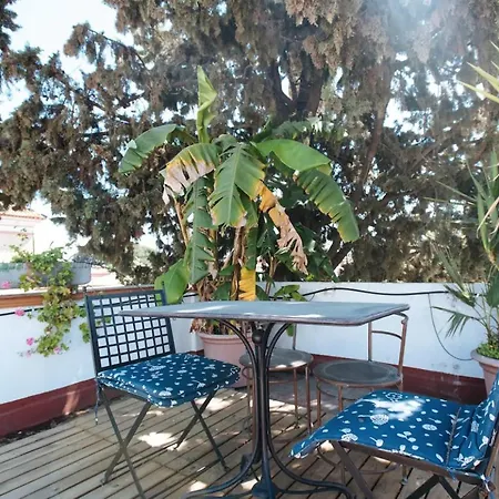 Penthouse Private Terrace, Near Cathedral, And To Real Maestranza Seville