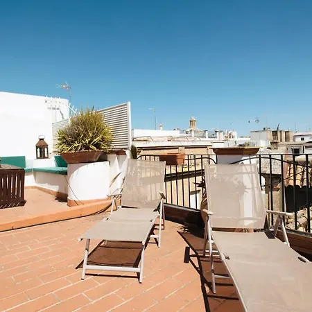 Penthouse Private Terrace, Near Cathedral, And To Real Maestranza