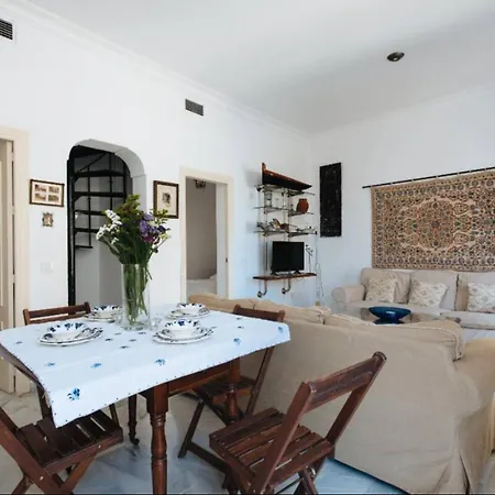 Apartment Penthouse Private Terrace, Near Cathedral, And To Real Maestranza Seville
