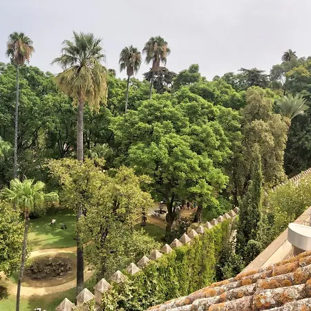 La Casa De San Fernando Con Vistas A Reales Alcazares Apartment Seville