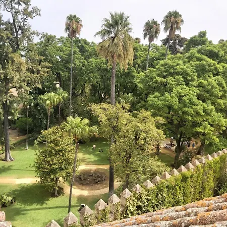 Apartamento La Casa De San Fernando Con Vistas A Reales Alcázares Sevilha