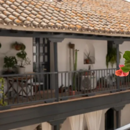 Andalusian Courtyard
