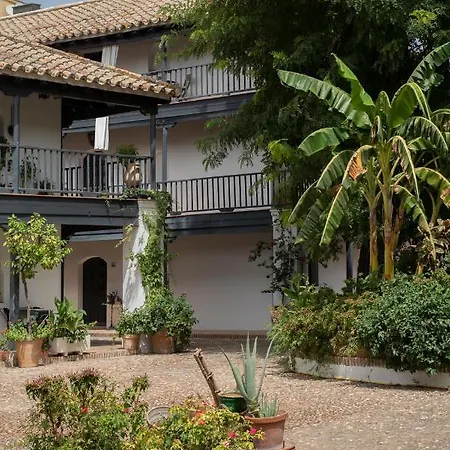 Apartment Andalusian Courtyard *