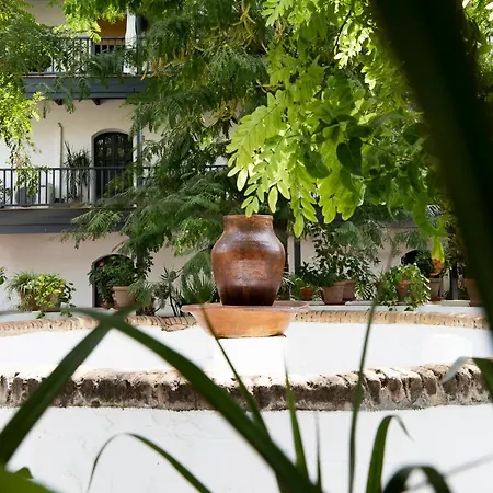 Andalusian Courtyard *