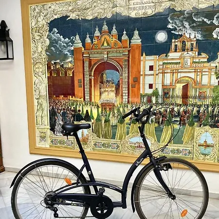 Loft And Bike Alameda * Seville