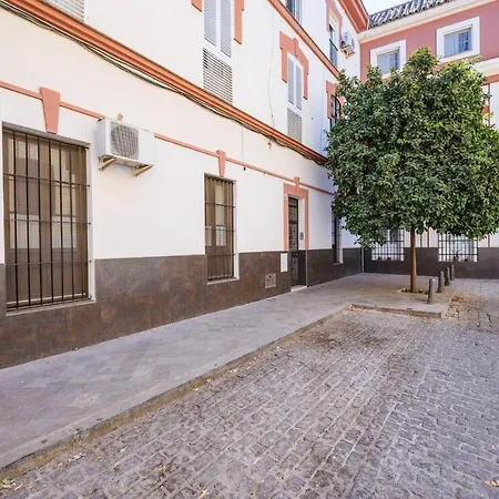 Sevillano Apto En Centro Cerca De Santa Justa *
