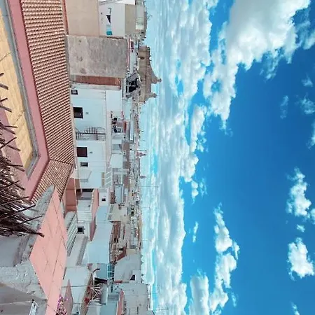 Llama Sevilla