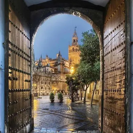Spalis Loft De Lujo En El Centro Historico