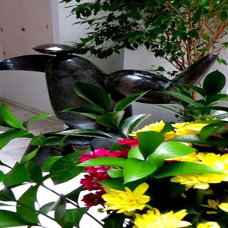 Un Patio Al Sur Hotel