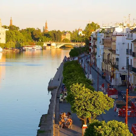 180 Un Sueno En El Corazon De Triana Voluntad * Seville
