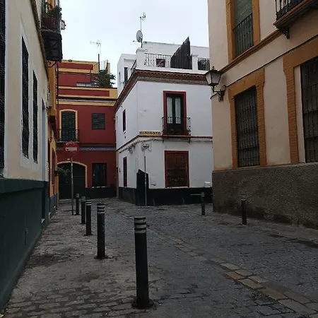 Encantador En El Centro
