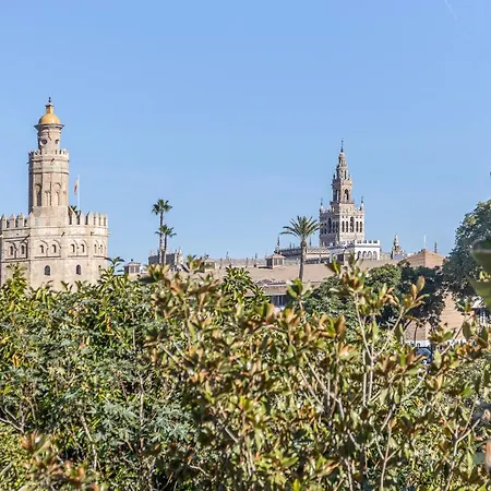 Pureza Dreams De Sevilla Oasis En Triana *