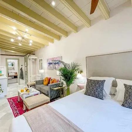 Juderia De Vi Luxury Seville
