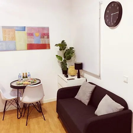 Atico Estudio Con Terraza - Centro
