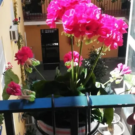 Apartment El Patio De San Bernardo