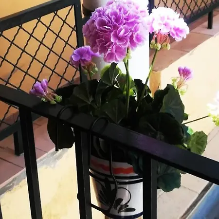 El Patio De San Bernardo Apartment *
