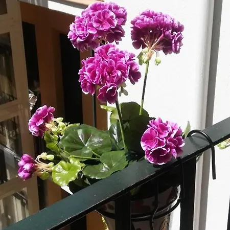 El Patio De San Bernardo Apartment