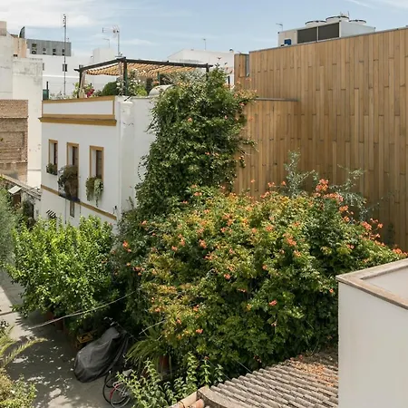 La Casa Del Alfarero Séville