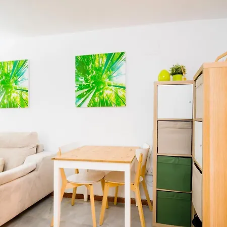 Suites Setas & Bicicletas Electricas Gratis *