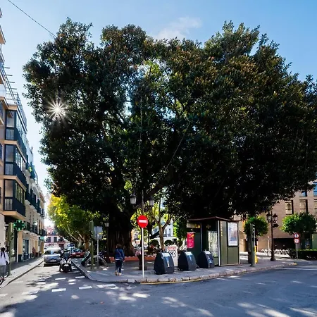 Apartment Suites Setas & Bicicletas Electricas Gratis