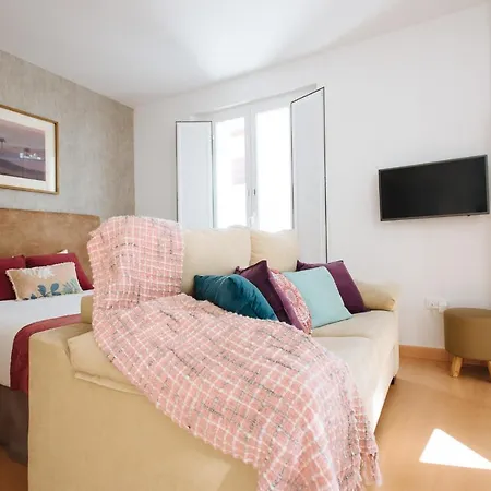 Apartment Hostly Acetres 2a-penthouse In Center-fibre-parking Opt *