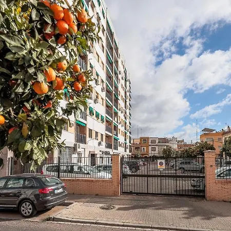 Elegante Luminoso Y Tranquilo De 2 Hab Wifi-ful Parking Inc Apartment *